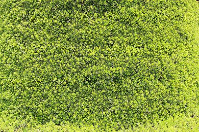 首周特惠仅需68.8元！3D像素武侠游戏《逸剑风云决》将于9月15日发售