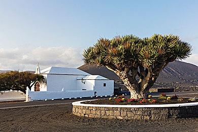 《巫师4》希里颜值变化引争议：DEI捣乱让美女变丑？