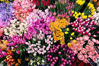 美少女ADV《Re:LieF ～献给亲爱的你》7月28日登陆NS 